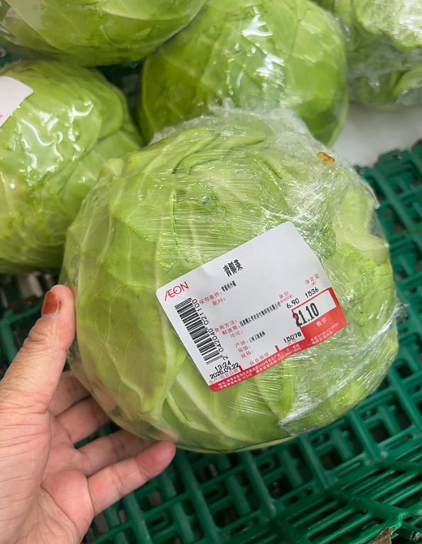 回国紧急提醒！所有飞香港航线停飞！近千架航班取消，超市全部抢空（组图） - 19