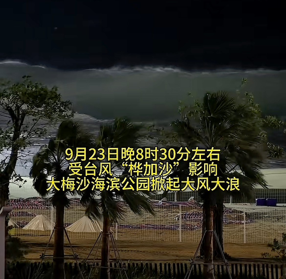 台风桦加沙来袭，深圳大梅沙海滨公园掀巨浪，地铁暂未恢复运营（视频/组图） - 5