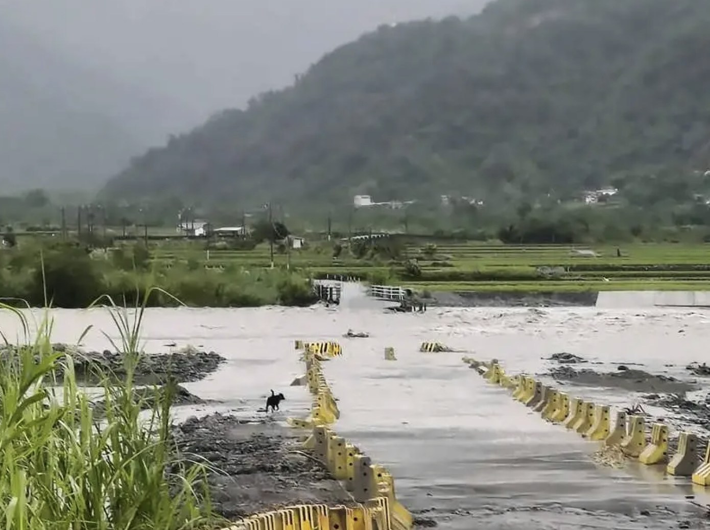花莲堰塞湖溃堤14死仍有124人失联，救援人员逐户清查（组图） - 10
