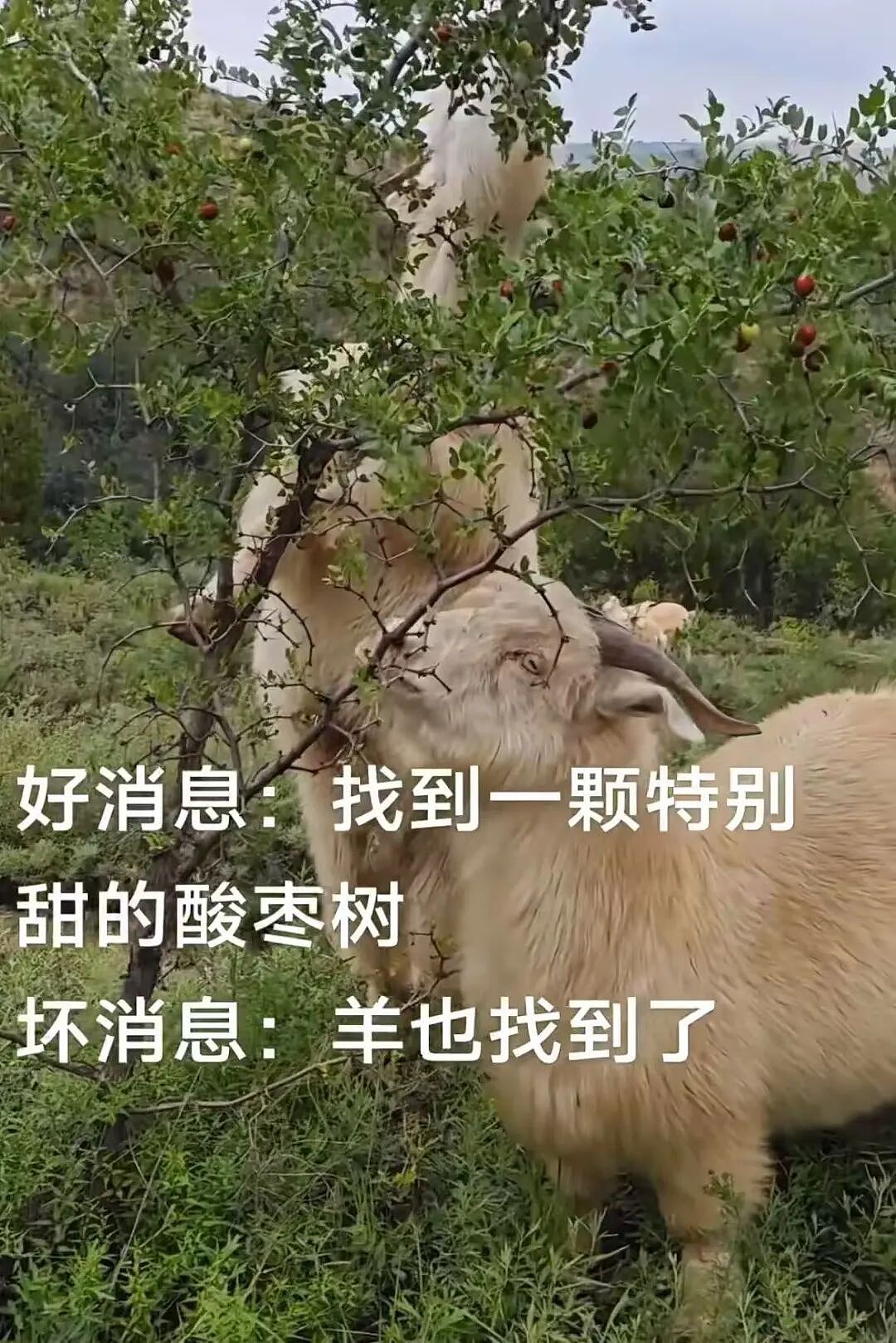 【爆笑】和闺蜜谈了四年的前任在一起是什么体验?啊啊啊这不是闺蜜是敌蜜(组图) - 35