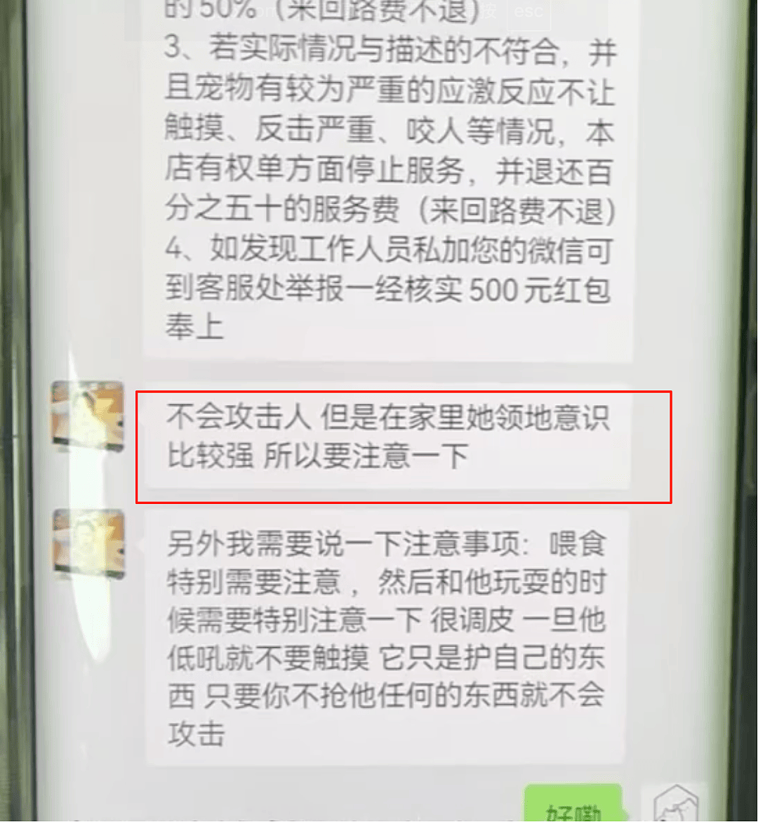 女子上门代喂,被100多斤阿拉斯加犬咬伤遭毁容,狗主人却称...(组图) - 3