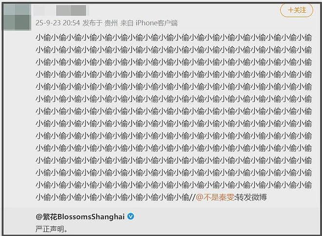 《繁花》剥削编剧事件升级！业内下场秦雯关评，剧组声明自打脸（组图） - 25