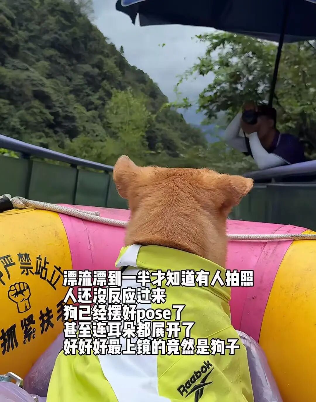 【爆笑】和闺蜜谈了四年的前任在一起是什么体验?啊啊啊这不是闺蜜是敌蜜(组图) - 28