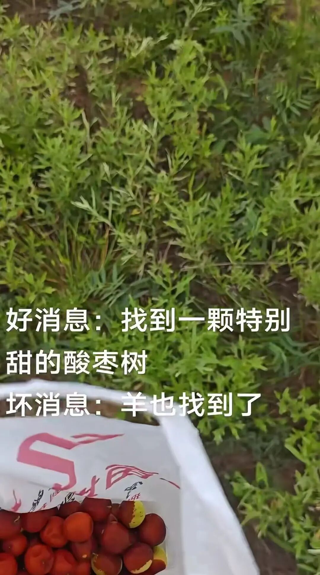 【爆笑】和闺蜜谈了四年的前任在一起是什么体验?啊啊啊这不是闺蜜是敌蜜(组图) - 34
