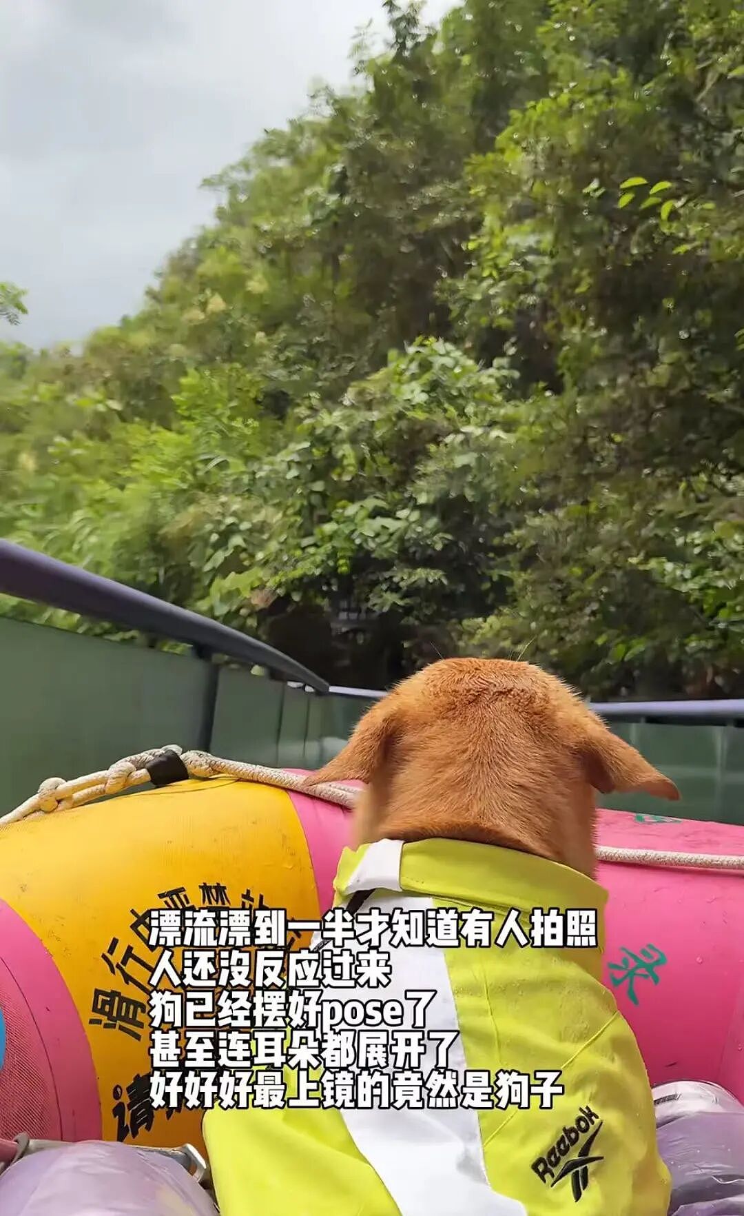 【爆笑】和闺蜜谈了四年的前任在一起是什么体验?啊啊啊这不是闺蜜是敌蜜(组图) - 27