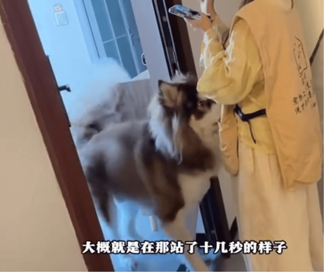 女子上门代喂,被100多斤阿拉斯加犬咬伤遭毁容,狗主人却称...(组图) - 1