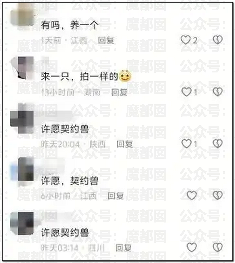 王婆相亲惊现切输卵管美女！疑似被抛弃契约兽找老实人接盘（视频/组图） - 26