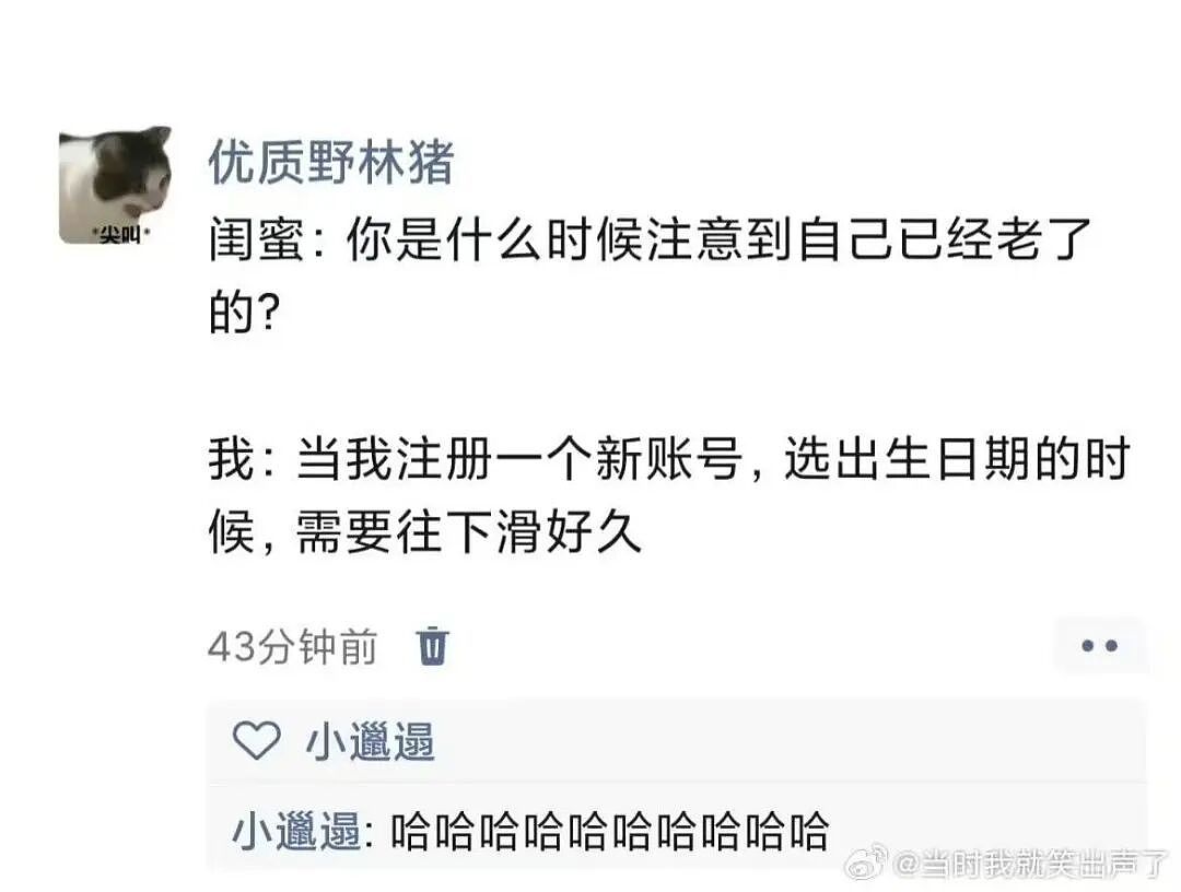 【爆笑】和闺蜜谈了四年的前任在一起是什么体验?啊啊啊这不是闺蜜是敌蜜(组图) - 49