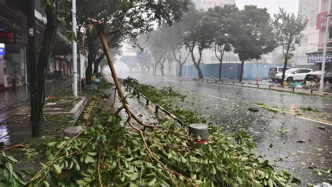 128斤记者在路上举步维艰，眼镜被吹跑！台风“桦加沙”袭击珠海：街边树枝断落，单车成排倒地（组图） - 1