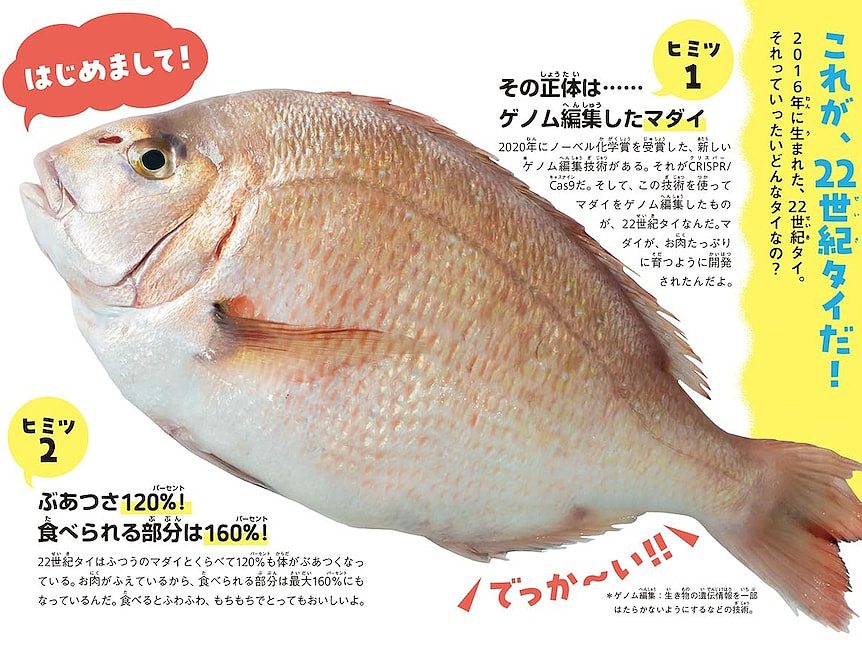 从抗病猪到耐热牛,基因编辑如何改变我们饮食中的肉类(组图) - 4