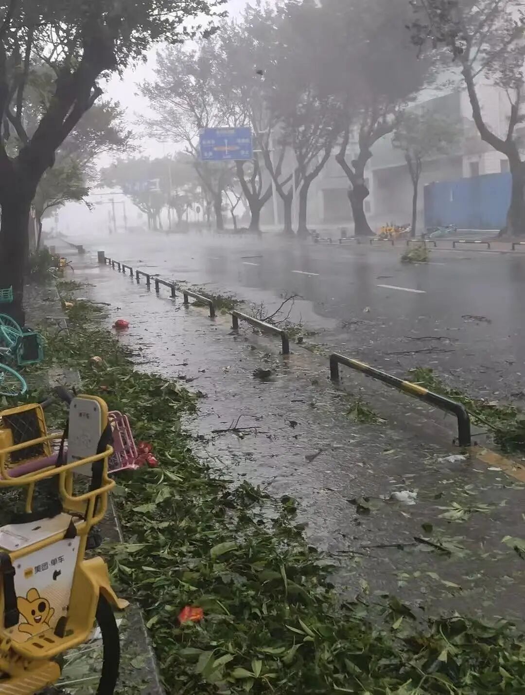 128斤记者在路上举步维艰，眼镜被吹跑！台风“桦加沙”袭击珠海：街边树枝断落，单车成排倒地（组图） - 3