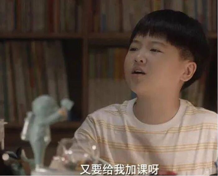 中国中产家庭出国留学,进入量力而行的时代(组图) - 5