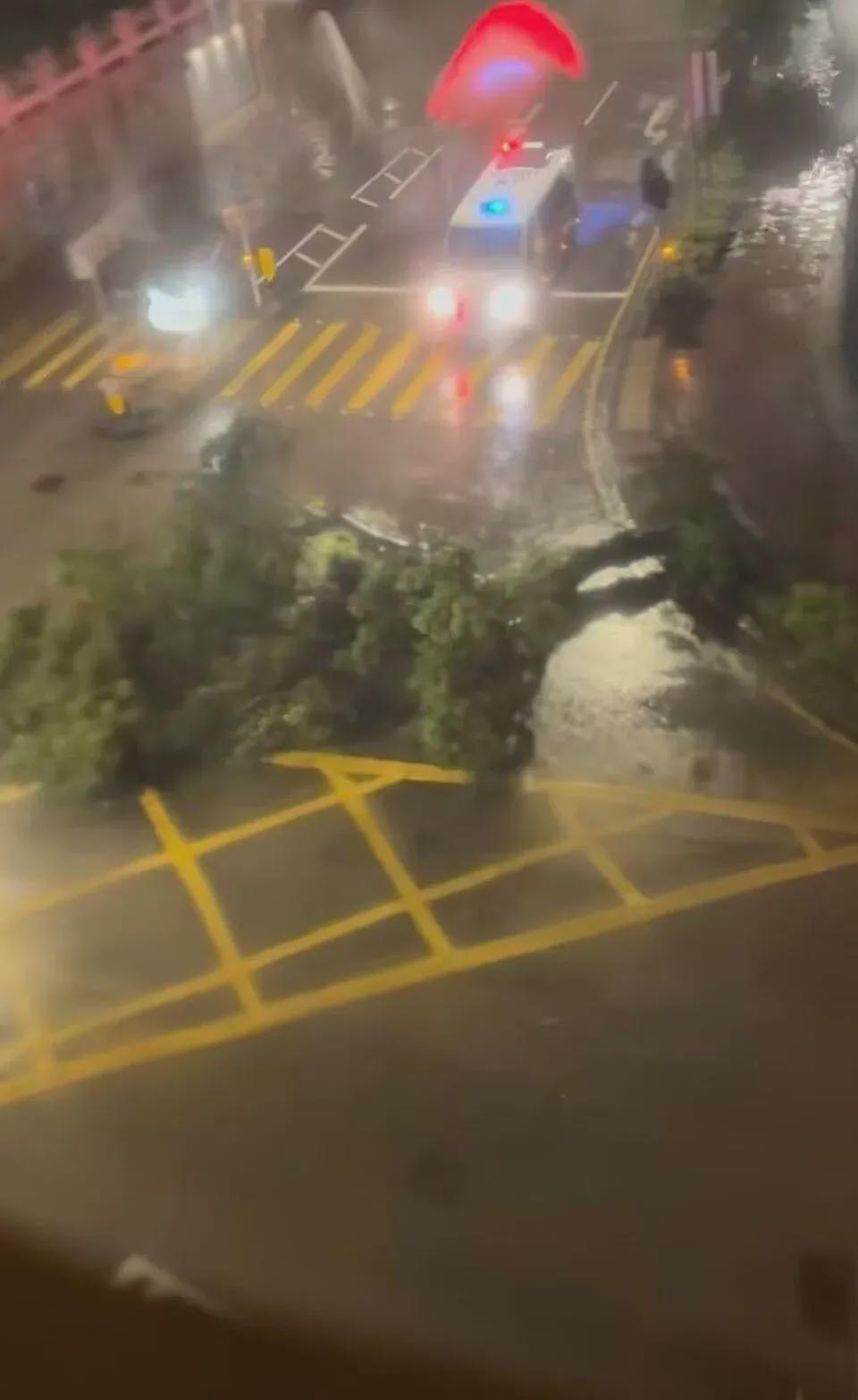 香港市民讲述台风桦加沙袭港:大楼晃了五个小时(组图) - 1