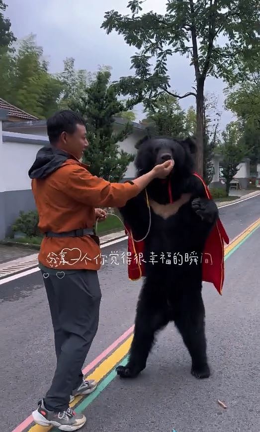 安徽动物园“黑熊披袈裟”人立遛达！网友见影片惊呆：是真货（视频/组图） - 5