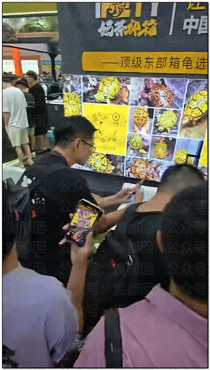 震撼！广东佛山乌龟展惊现众多美女站台，身着寸缕沟壑深邃引发围观（视频/组图） - 13