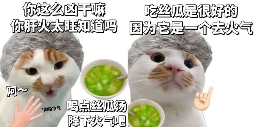 多少孩子已经「丝瓜汤中毒」了，父母还浑然不知…（组图） - 9