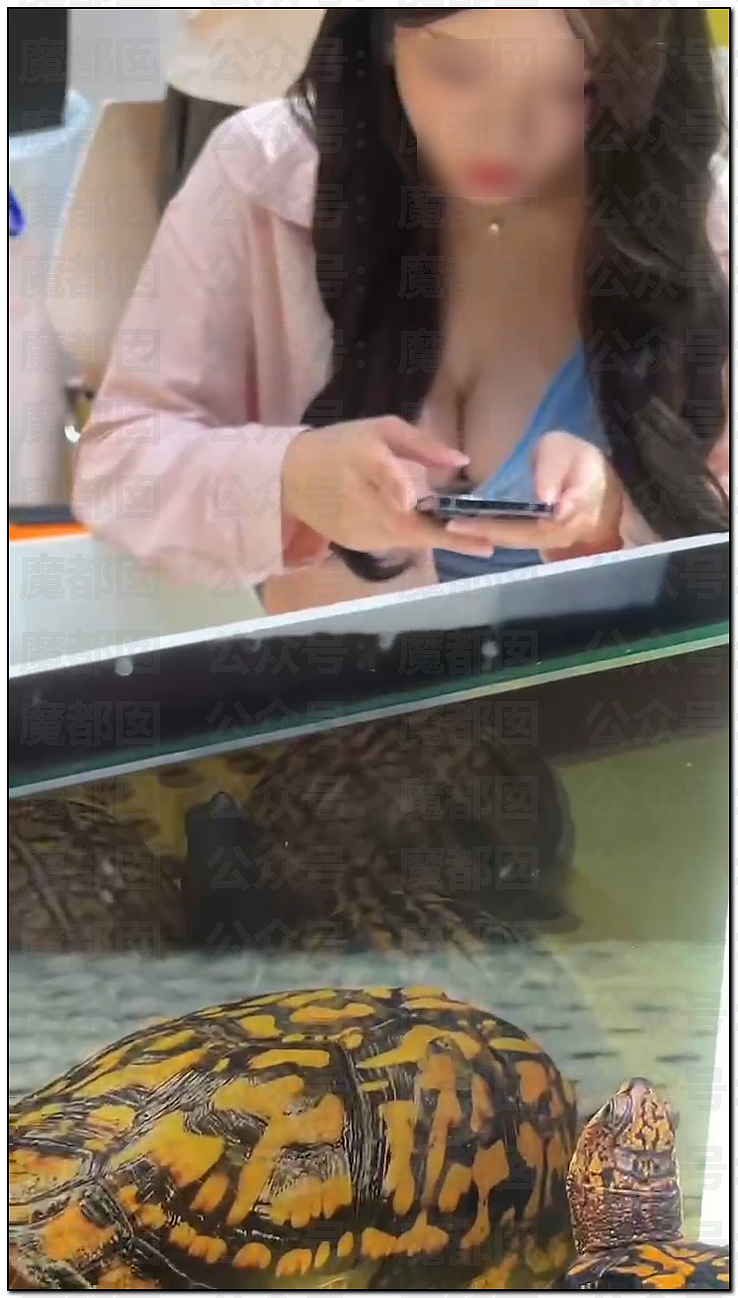 震撼！广东佛山乌龟展惊现众多美女站台，身着寸缕沟壑深邃引发围观（视频/组图） - 2