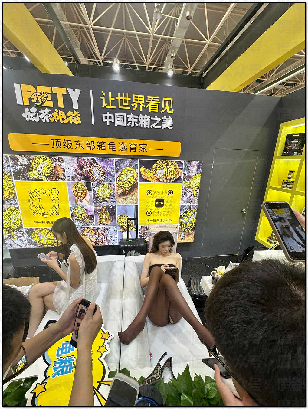 震撼！广东佛山乌龟展惊现众多美女站台，身着寸缕沟壑深邃引发围观（视频/组图） - 11
