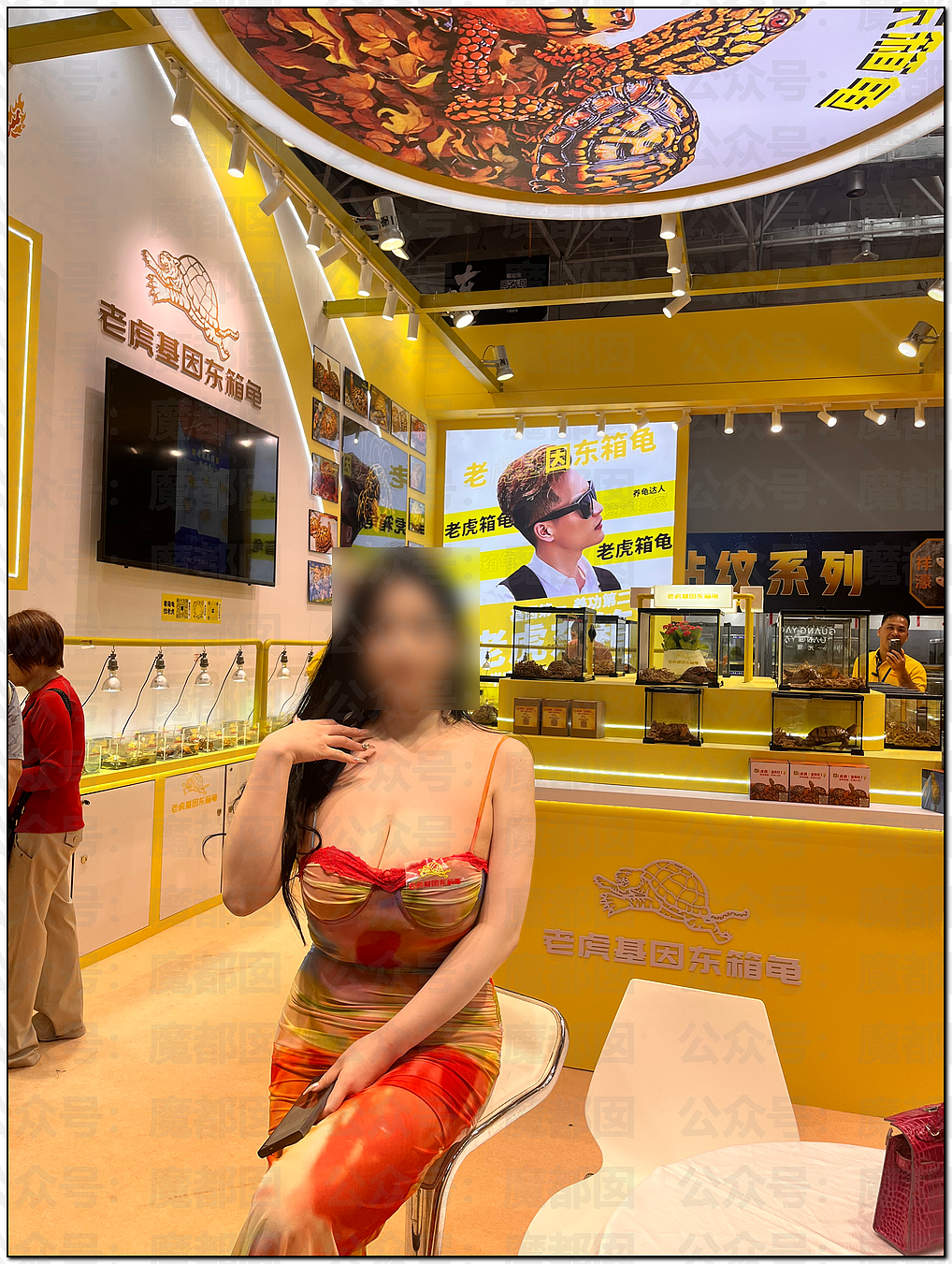震撼！广东佛山乌龟展惊现众多美女站台，身着寸缕沟壑深邃引发围观（视频/组图） - 8
