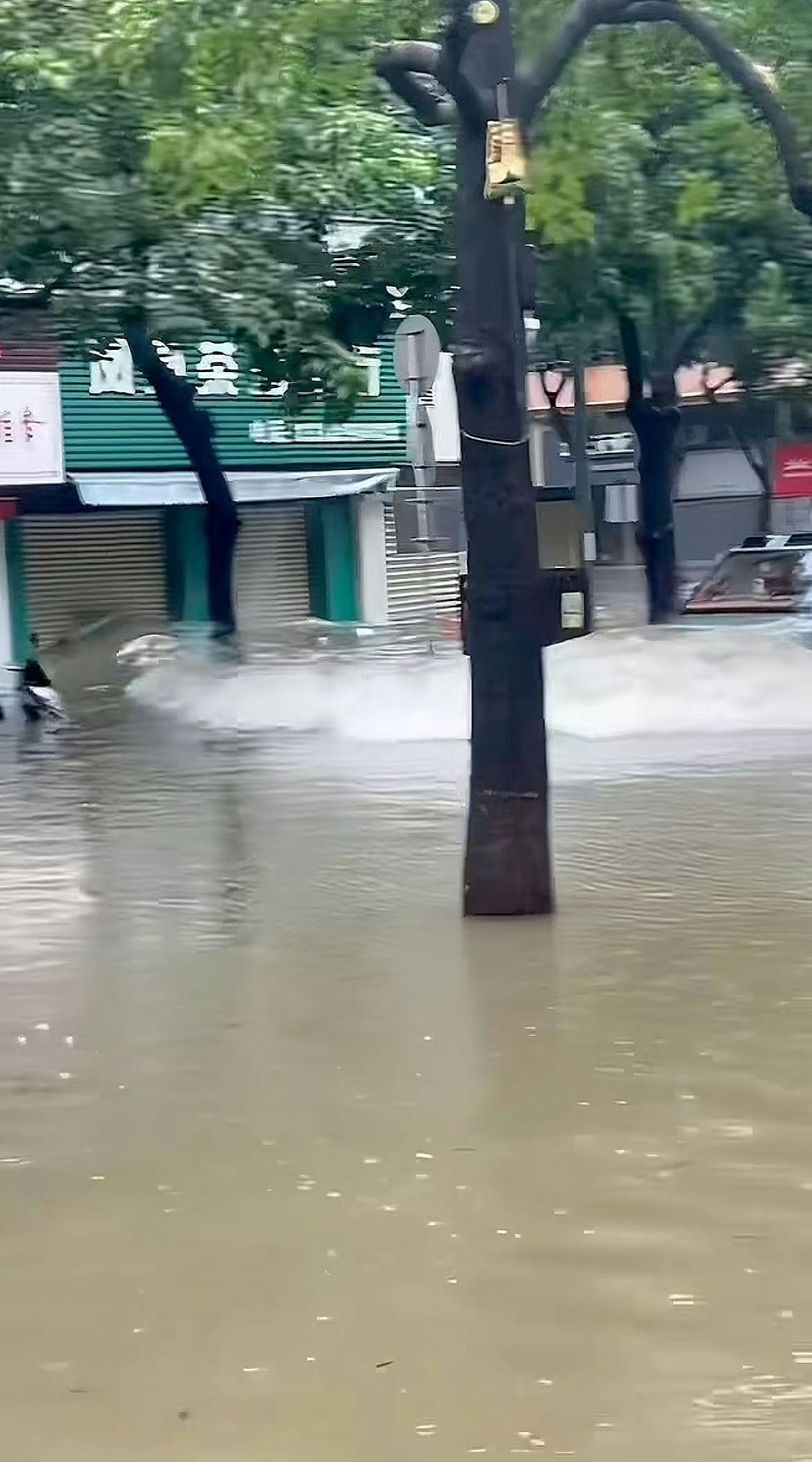 珠海台风天街头水浸，司机开车“玩水”造浪，被商户指冲碎玻璃（视频/组图） - 6