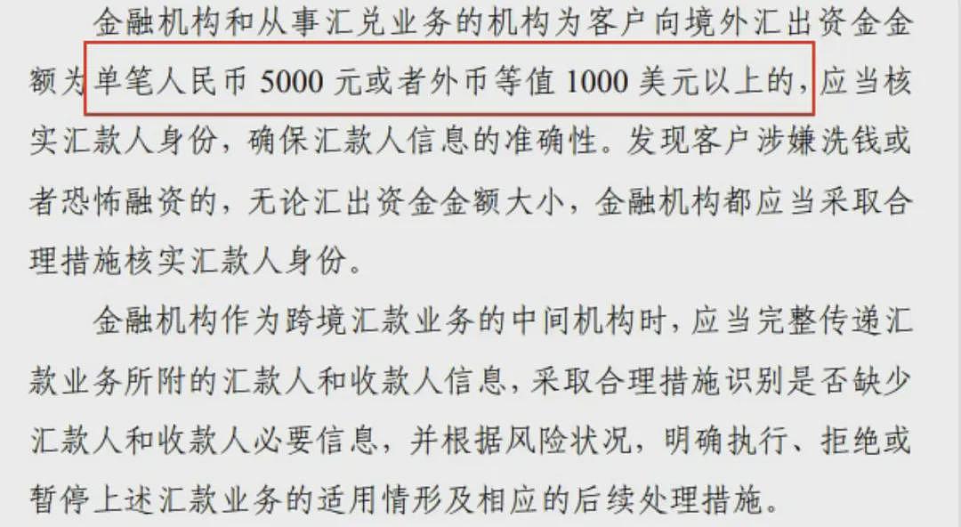 华人注意！史上最严跨境汇款新规，单笔超5000就查，支付宝微信也中招（组图） - 4