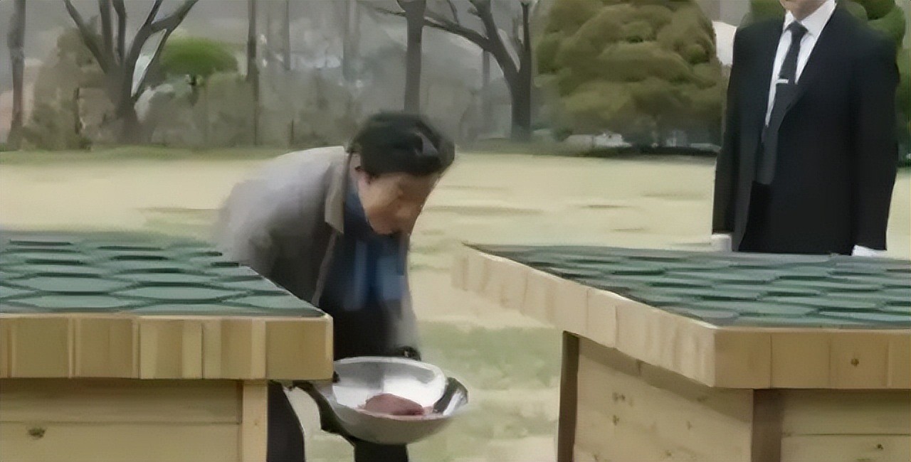 全智贤只是个导火线,韩剧“夹带私货”套路多,一个比一个离谱(组图) - 48