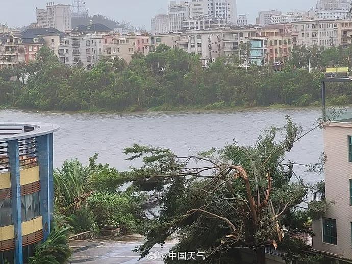 台风桦加沙对广东阳江造成严重影响：海水倒灌、树木折断（组图） - 3