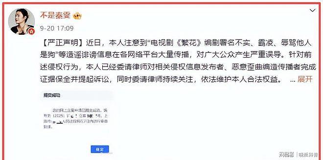 秦雯背刺陈道明风波升级！唐嫣新剧播出受影响，王家卫也被骂惨（组图） - 18