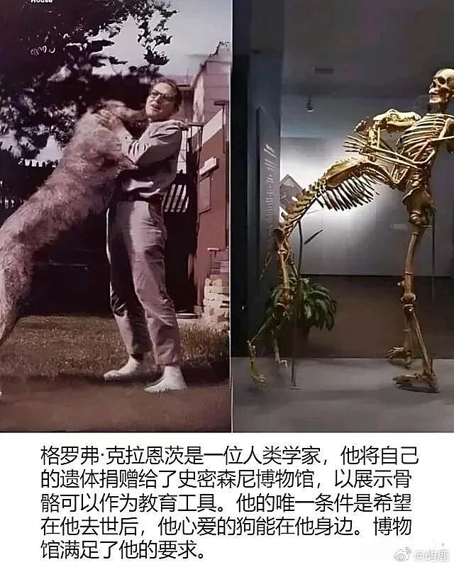 【爆笑】男朋友月薪9000，给我点个50块钱的外卖都不肯？（组图） - 54