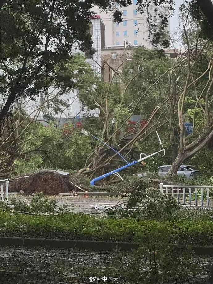 台风桦加沙对广东阳江造成严重影响：海水倒灌、树木折断（组图） - 7