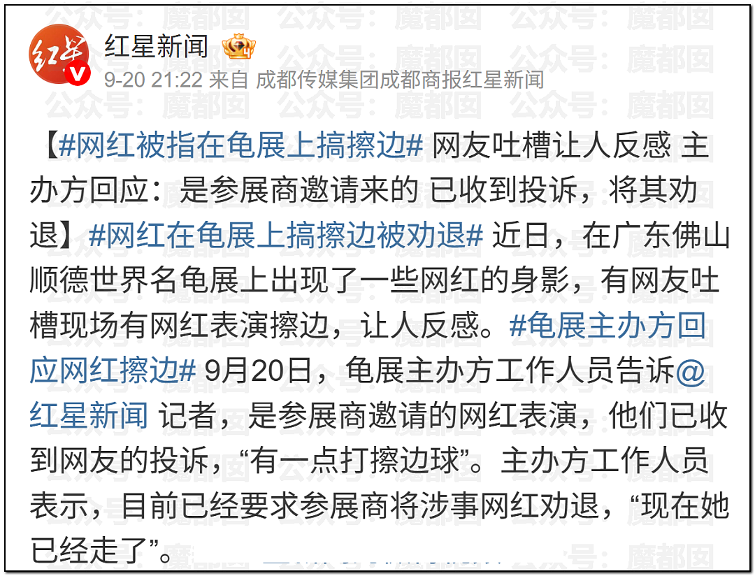 震撼！广东佛山乌龟展惊现众多美女站台，身着寸缕沟壑深邃引发围观（视频/组图） - 16