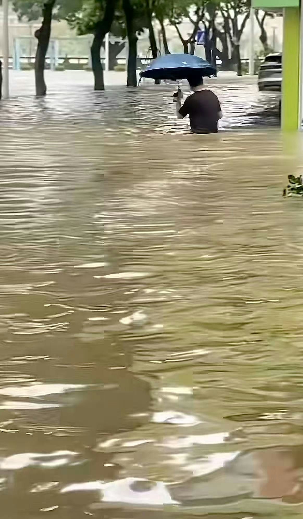 珠海台风天街头水浸，司机开车“玩水”造浪，被商户指冲碎玻璃（视频/组图） - 2