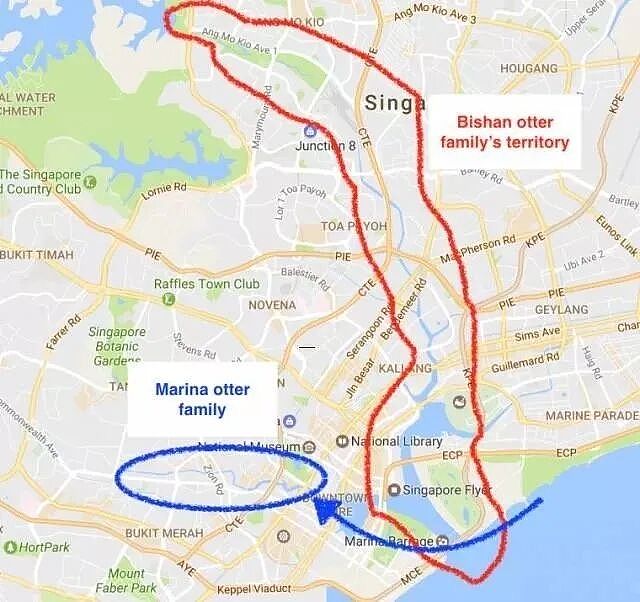 新加坡 “第一黑帮”惨遭灭族!12年帮派仇杀终结,幕后大佬身份曝光(组图) - 9