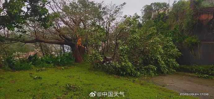 台风桦加沙对广东阳江造成严重影响：海水倒灌、树木折断（组图） - 2