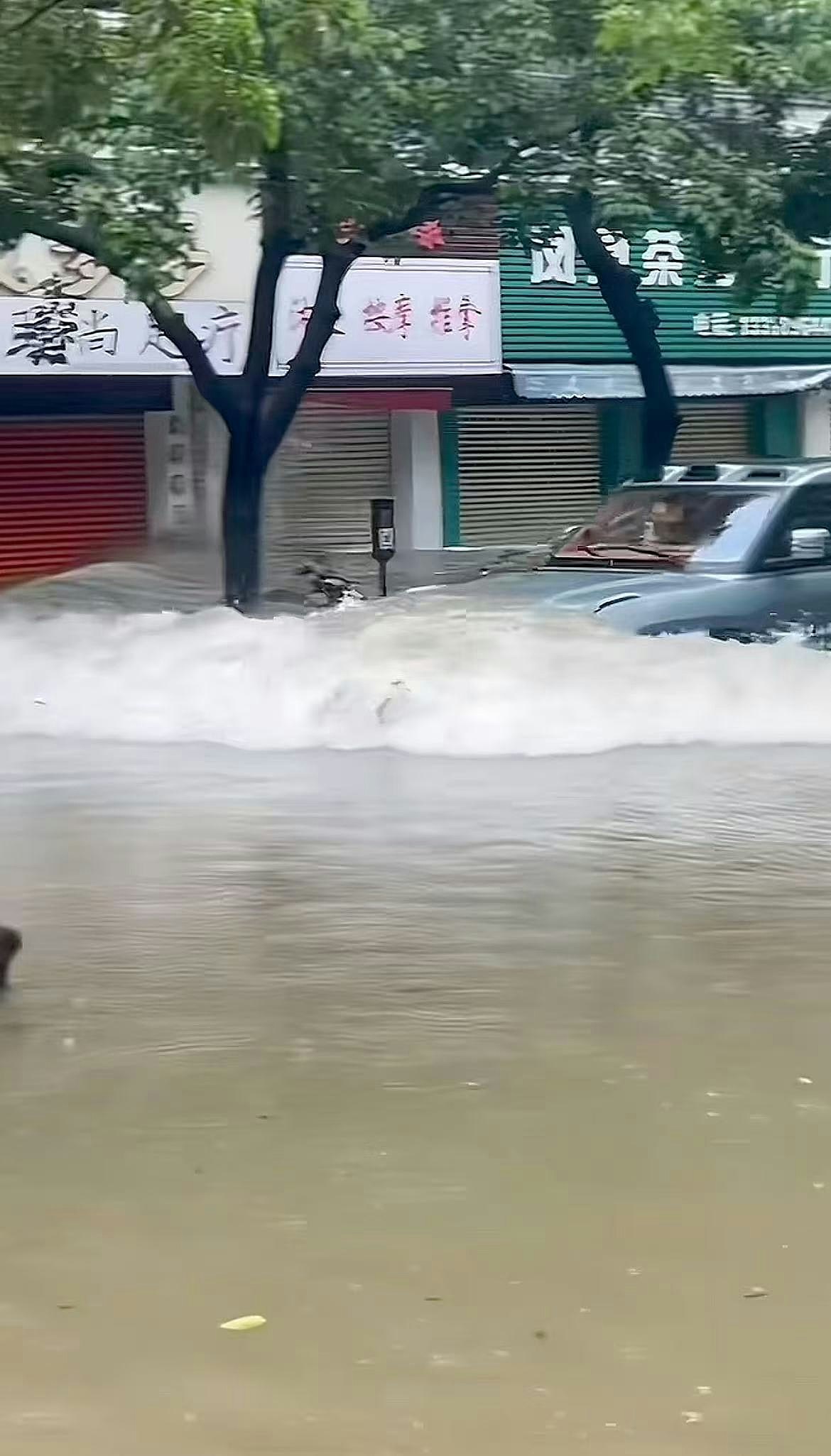 珠海台风天街头水浸，司机开车“玩水”造浪，被商户指冲碎玻璃（视频/组图） - 5