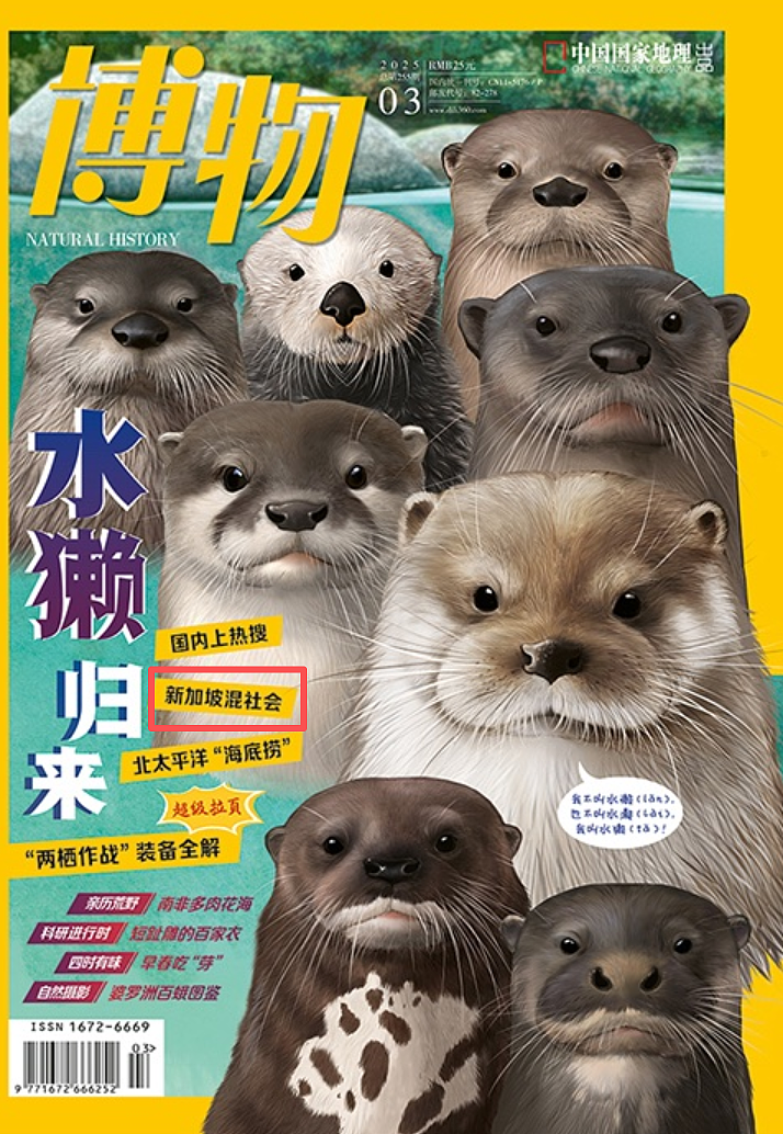 新加坡 “第一黑帮”惨遭灭族!12年帮派仇杀终结,幕后大佬身份曝光(组图) - 24