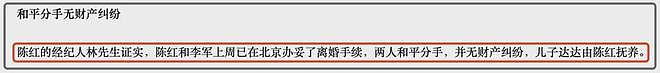陈红与前夫恩怨太狗血！男方曾出轨知名女主持，怒闯闺房埋下祸根（组图） - 4