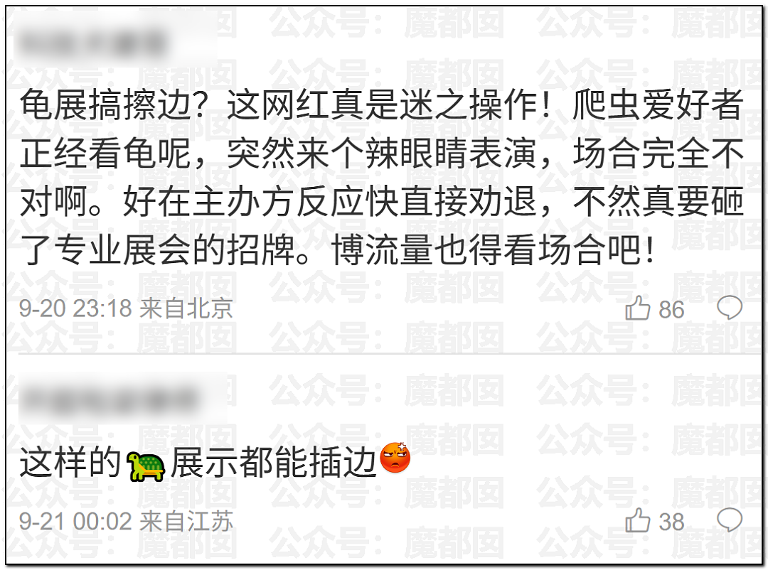 震撼！广东佛山乌龟展惊现众多美女站台，身着寸缕沟壑深邃引发围观（视频/组图） - 19