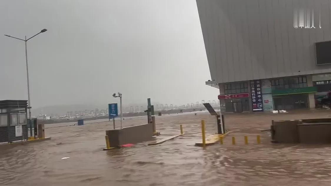 台风桦加沙对广东阳江造成严重影响：海水倒灌、树木折断（组图） - 9