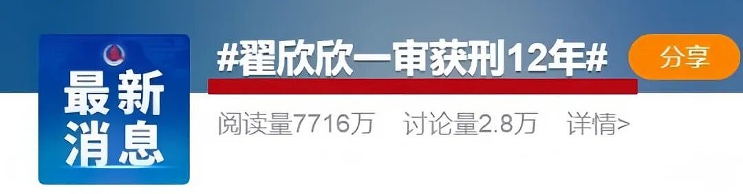 翟欣欣被判12年:人啊,还是得有兄弟姊妹(组图) - 3