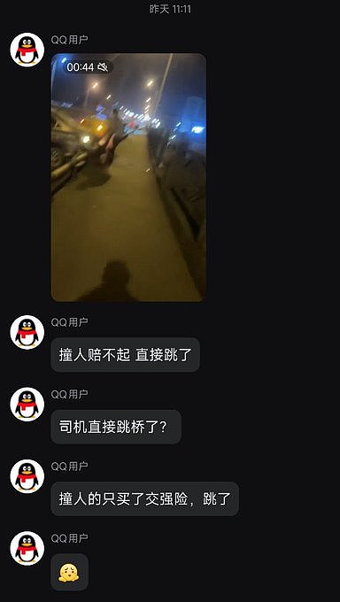 震惊！男子车祸担心赔不起，竟从高架桥一跃而下引发热议（视频/组图） - 3
