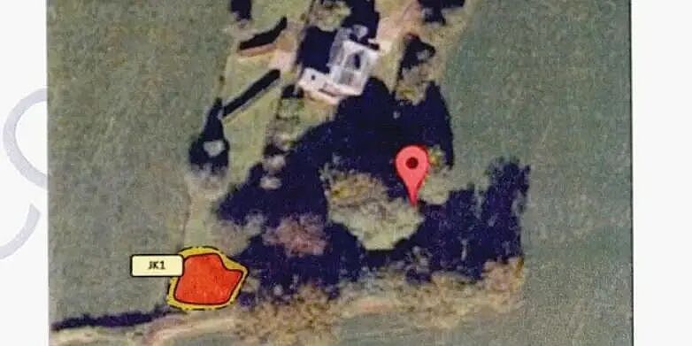 145万镑拿下八居室奢华庄园？真相却是：残破老宅、垃圾丛生、蝙蝠肆虐...（组图） - 10