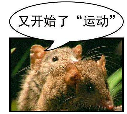 【两性】色情是如何一步步让你上瘾的(组图) - 3