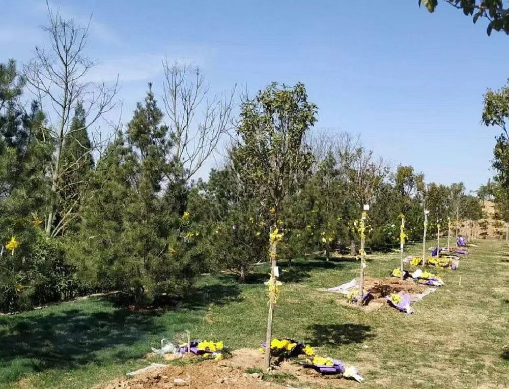 新加坡真的卷上天了，推出“太空葬”！骨灰飞宇宙、自带微信定位、首批席位只要$18888（组图） - 19
