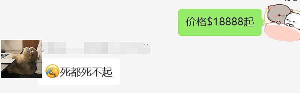 新加坡真的卷上天了，推出“太空葬”！骨灰飞宇宙、自带微信定位、首批席位只要$18888（组图） - 13