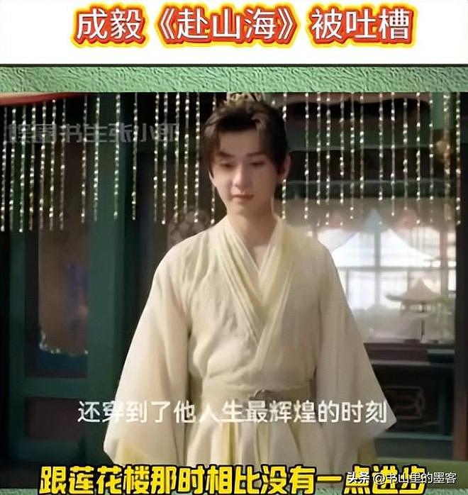梁婷发文谈肖战成毅：努力劝和粉丝开战，成毅长得丑，肖战演技差（组图） - 9