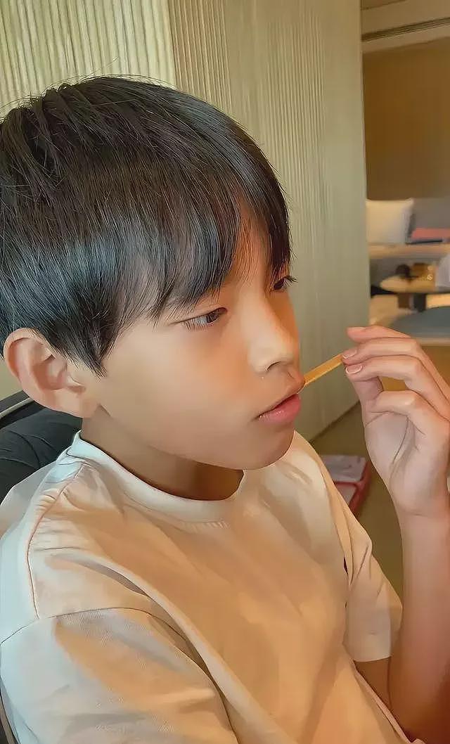 正脸曝光，大S力护的俩孩子，成汪小菲炫耀的资本（组图） - 9