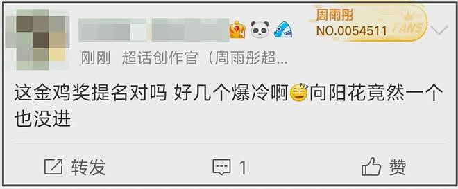 金鸡奖提名爆冷！85花无人入围输给新人，杨幂、赵丽颖转型艰难（组图） - 10
