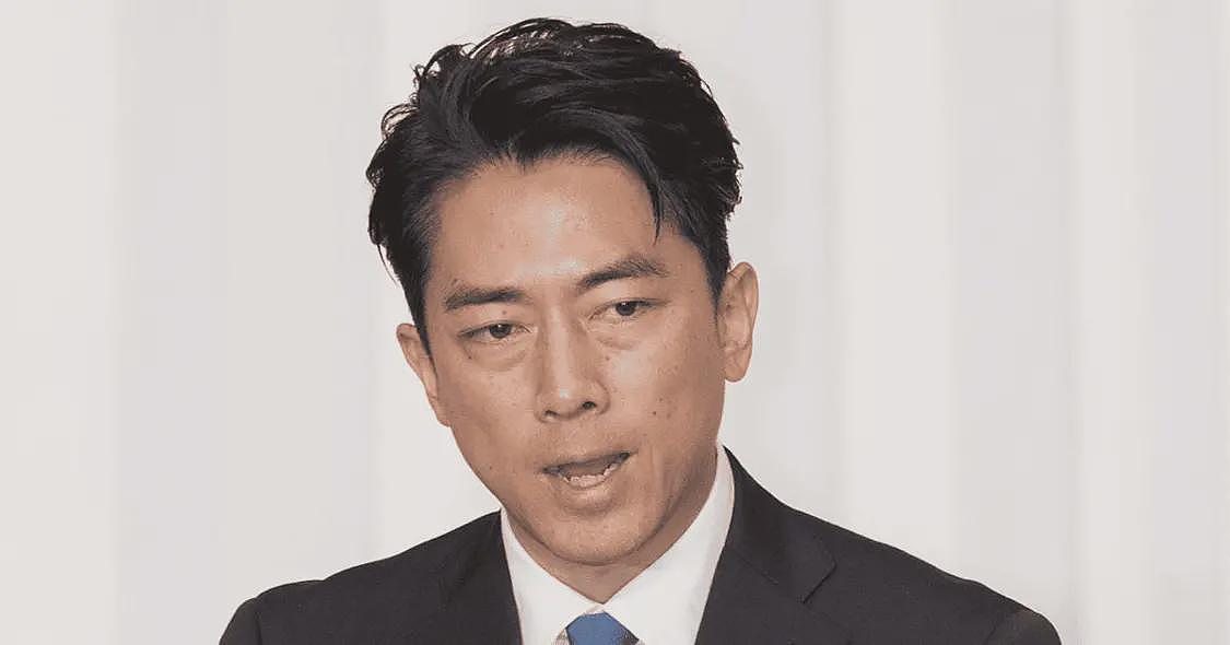 小泉进次郎团队请“水军“自吹自擂被曝光,舆论炸锅(图) - 1