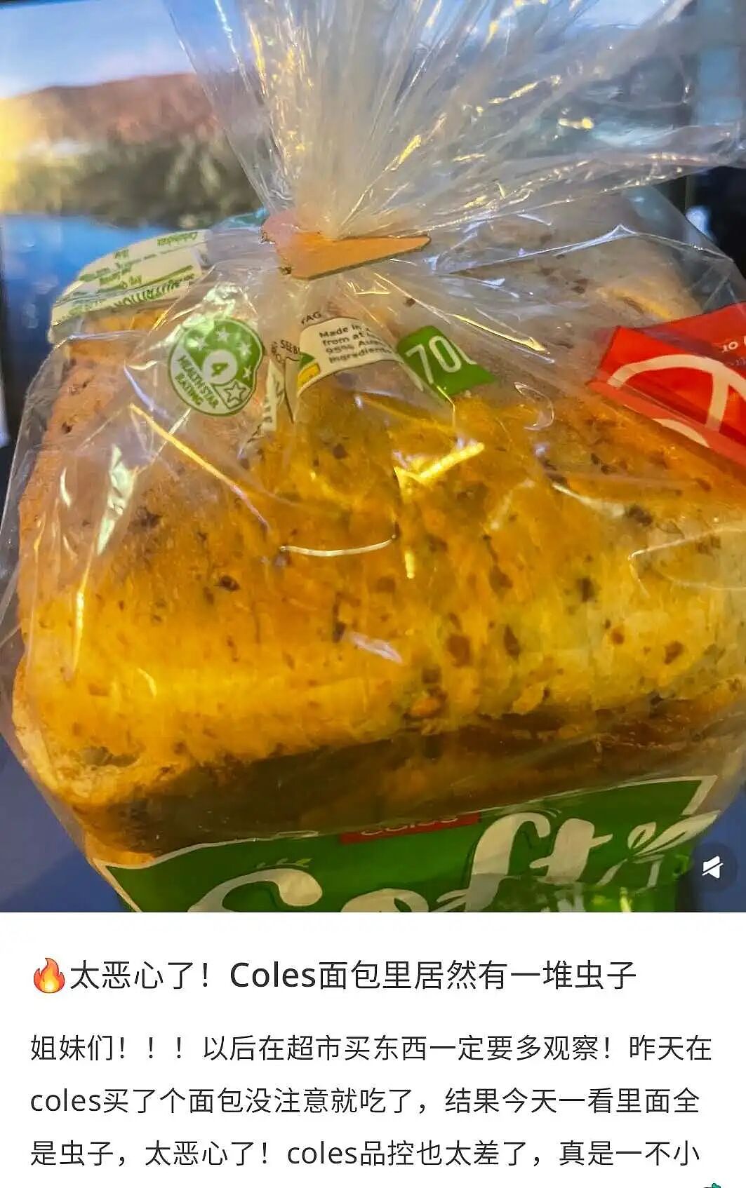 澳洲3大超市集体爆雷！Woolworths知名尿不湿有虫！Aldi蟑螂到处爬、Coles大量商品长霉...（组图） - 22